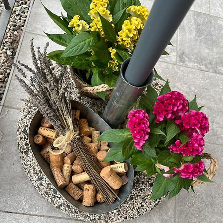 Sveva Haven Malpensa Bed and Breakfast Case Nuove  Eksteriør billede